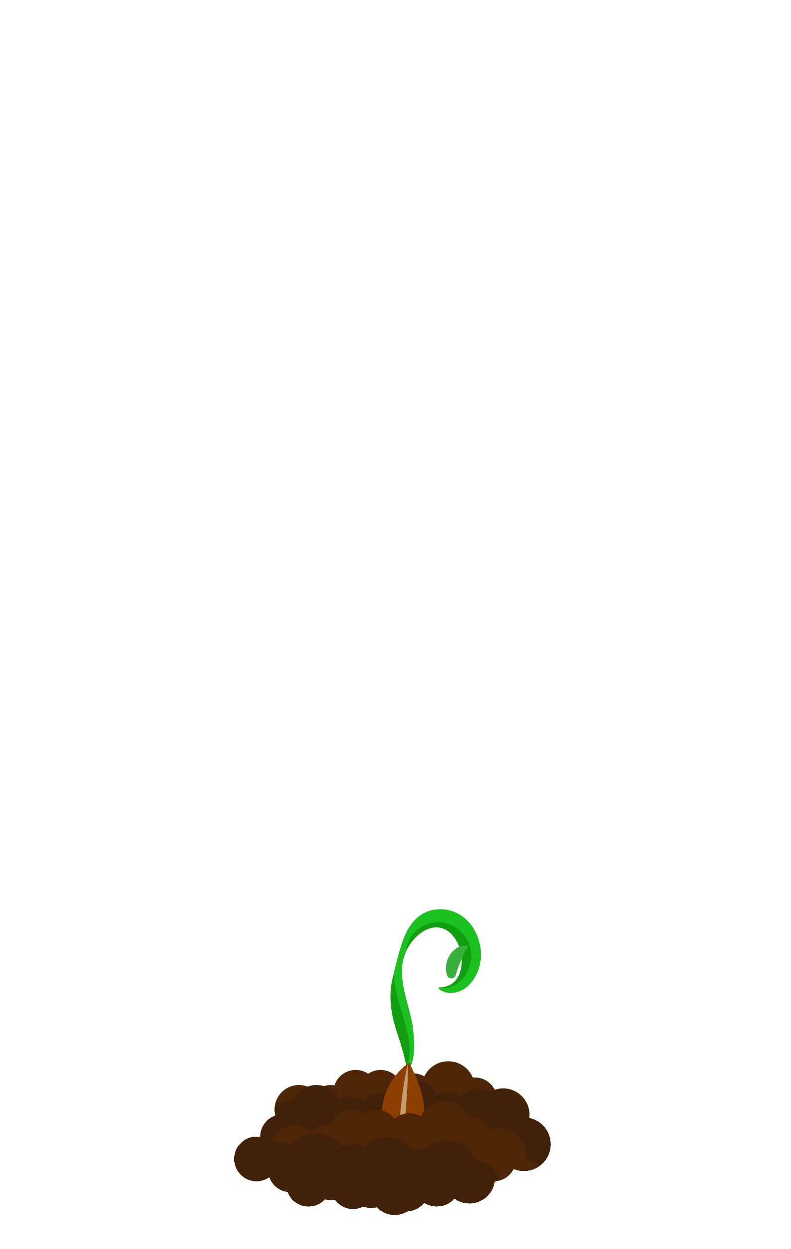 Sprouting Bloom