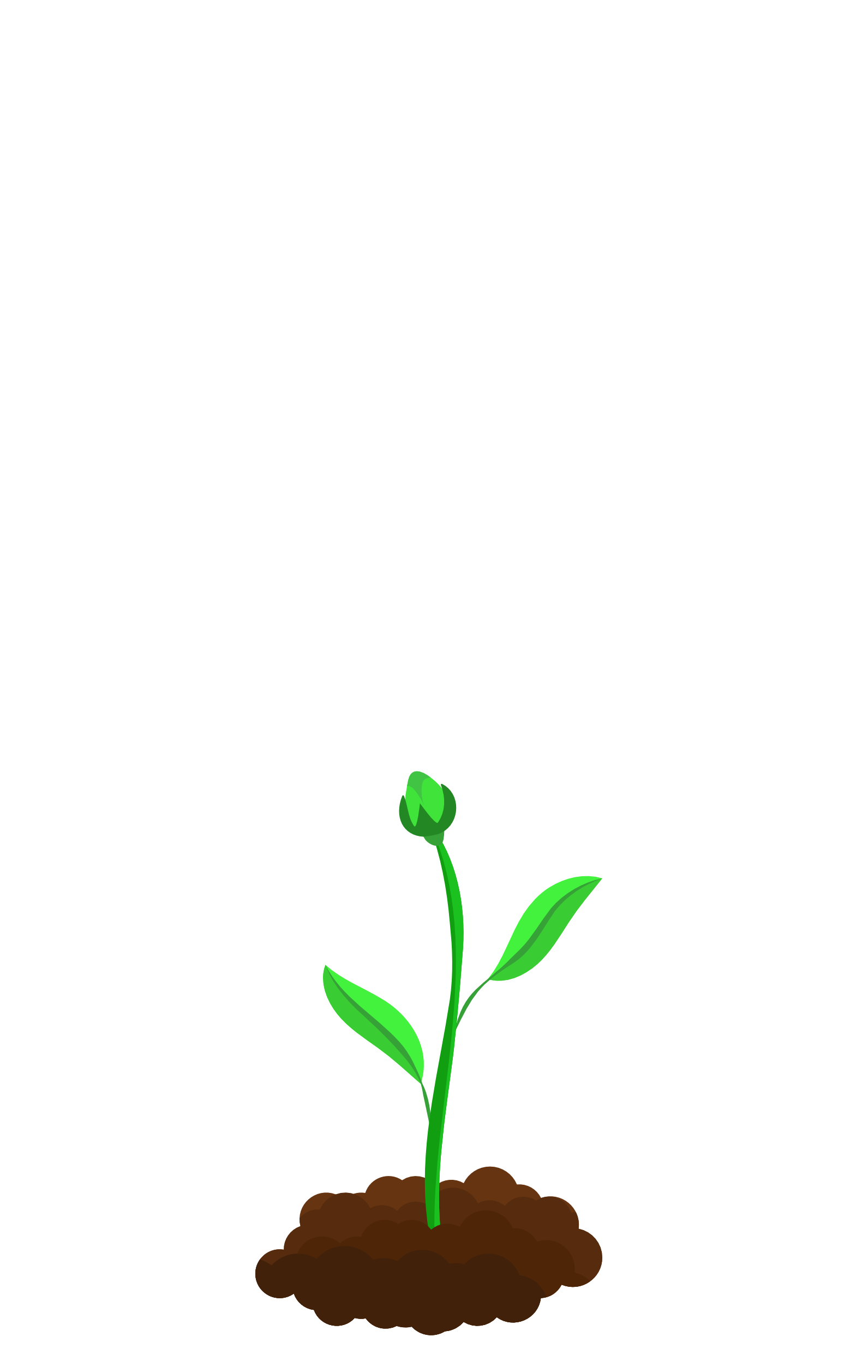 Growing Bloom